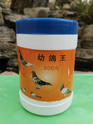 超霸幼鴿王  500丸