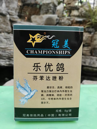 冠美乐优鸽