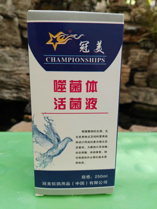 冠美噬菌体活菌液
