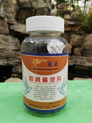 冠美幼鸽精灵丸