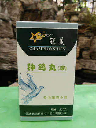 冠美种鸽丸（雌）