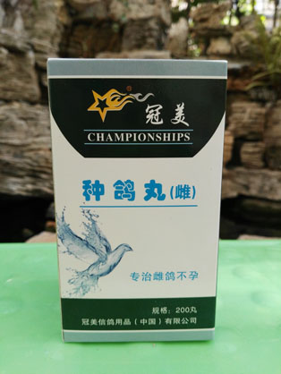 冠美种鸽丸（雄鸽）