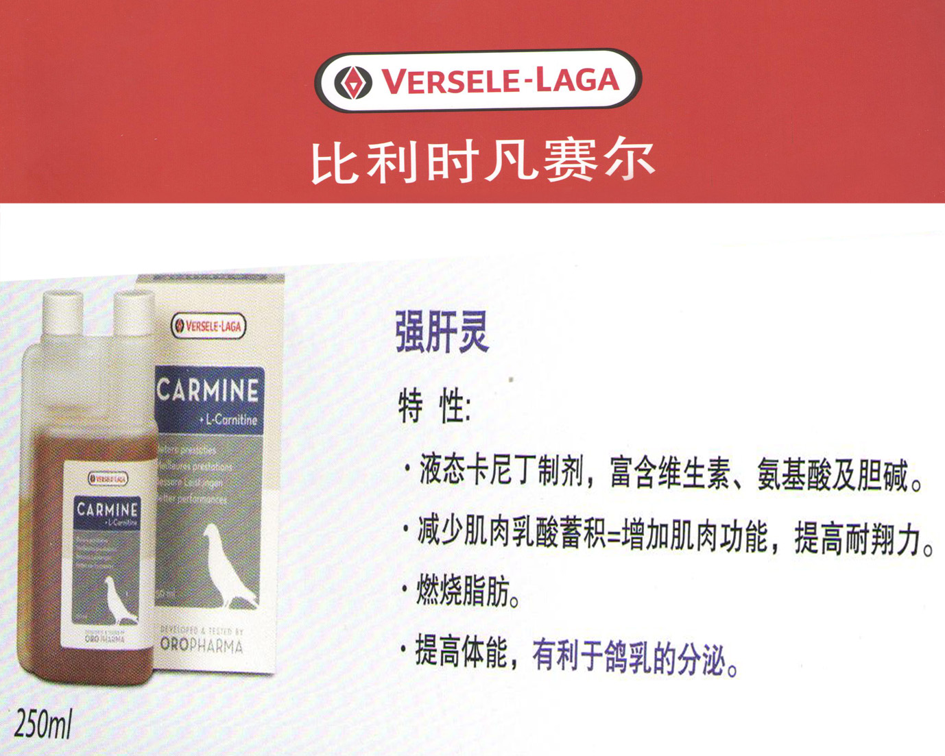 强肝灵