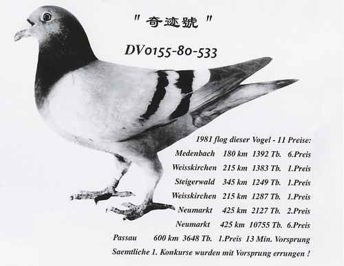 30287589_5.jpg