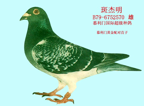 30287589_9.jpg