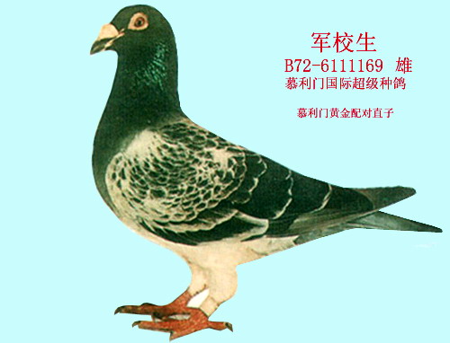 30287589_10.jpg