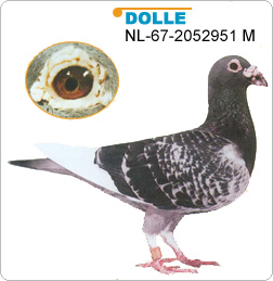 30287589_14.jpg