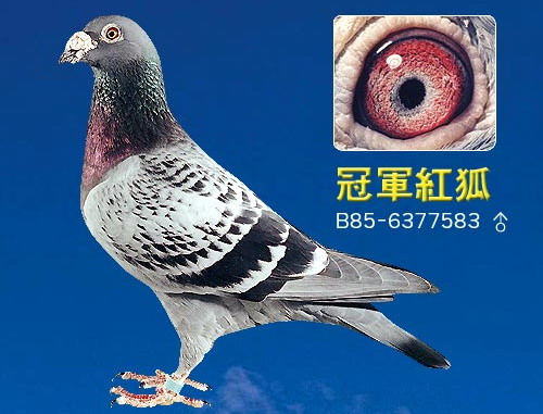 30287589_18.jpg