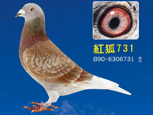 30287589_19.jpg