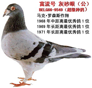 30287589_25.jpg