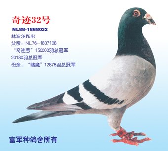 30287589_32.jpg