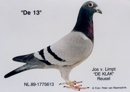 30287589_33.jpg