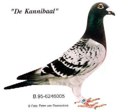 30287589_36.jpg