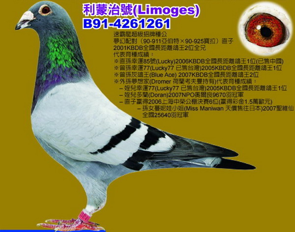 30287589_41.jpg