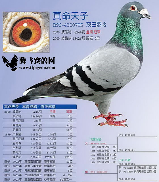 30287589_47.jpg