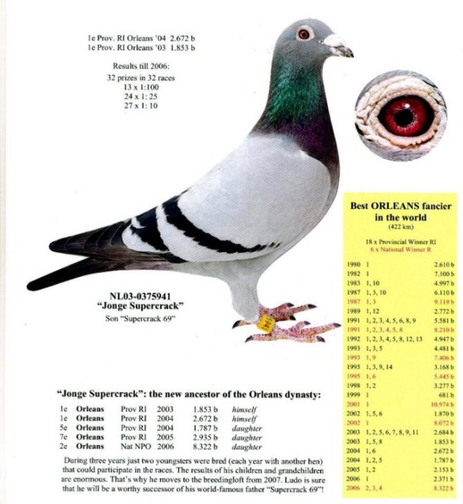 30287589_51.jpg