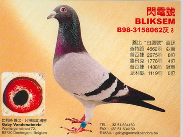 30287589_52.jpg