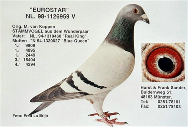 30287589_57.jpg