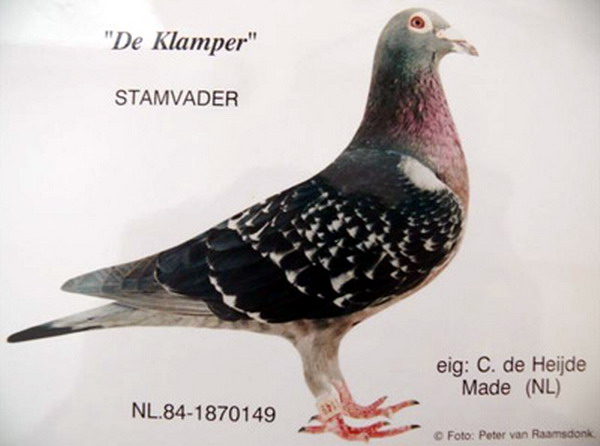 30287589_58.jpg