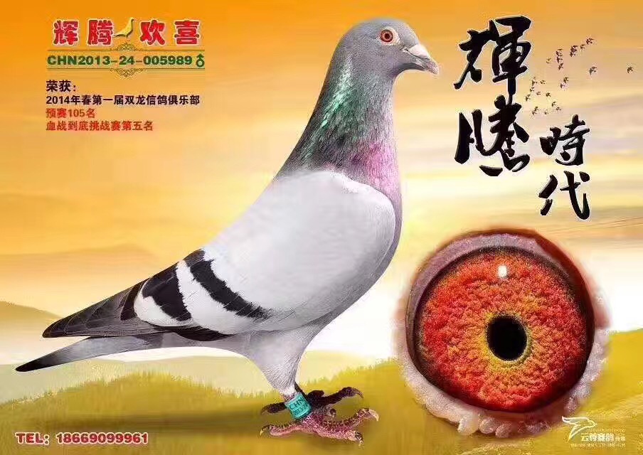 989.JPG