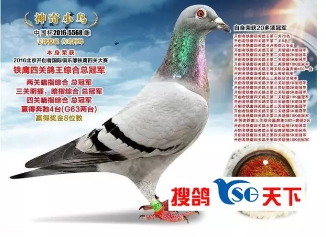 1.webp.jpg
