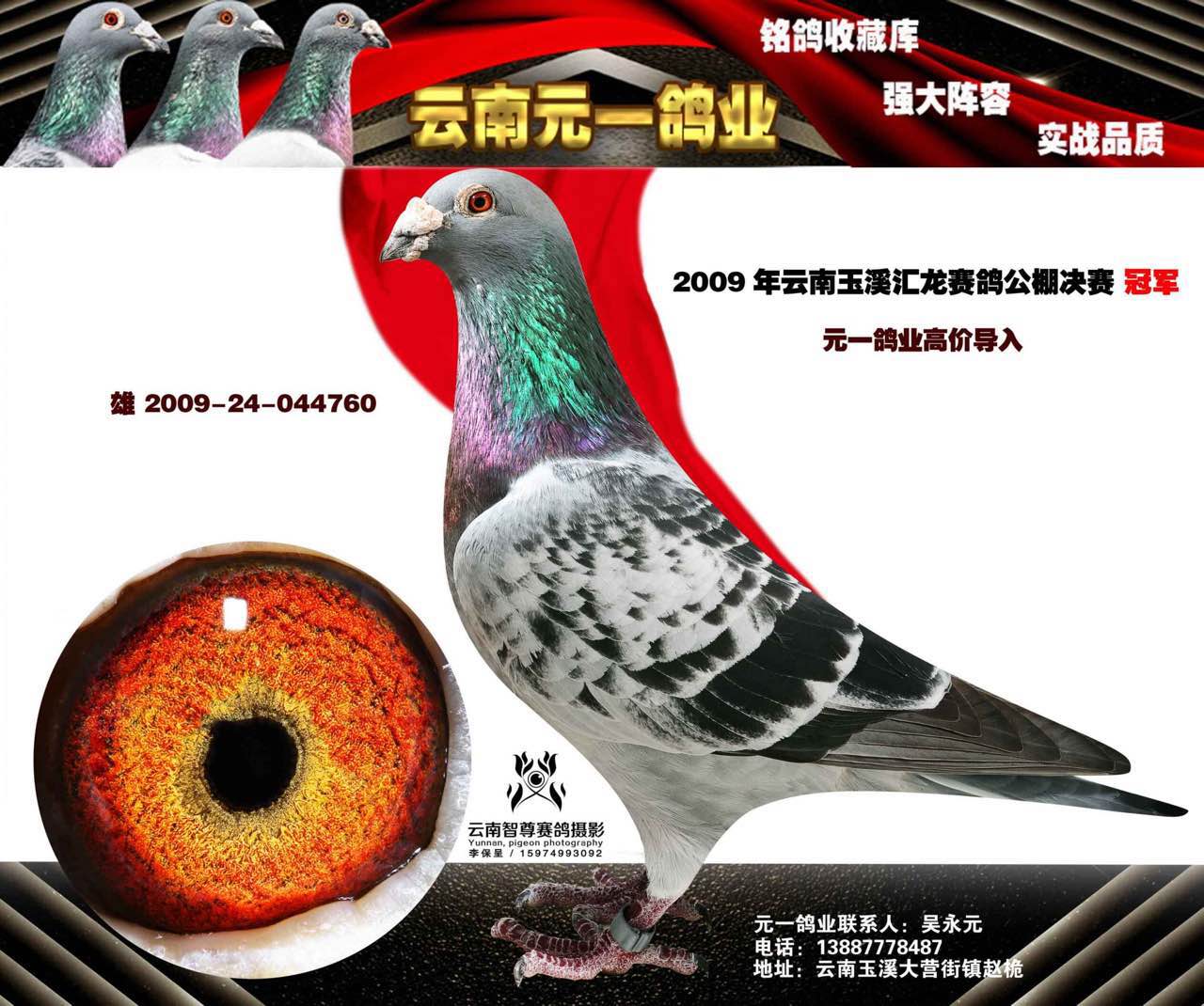 2009年汇龙公棚决赛冠军