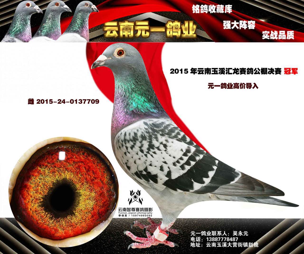 2015年汇龙公棚决赛冠军