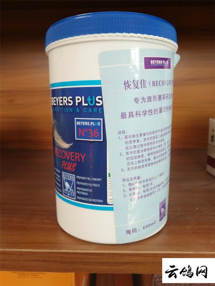 贝耶斯恢复佳