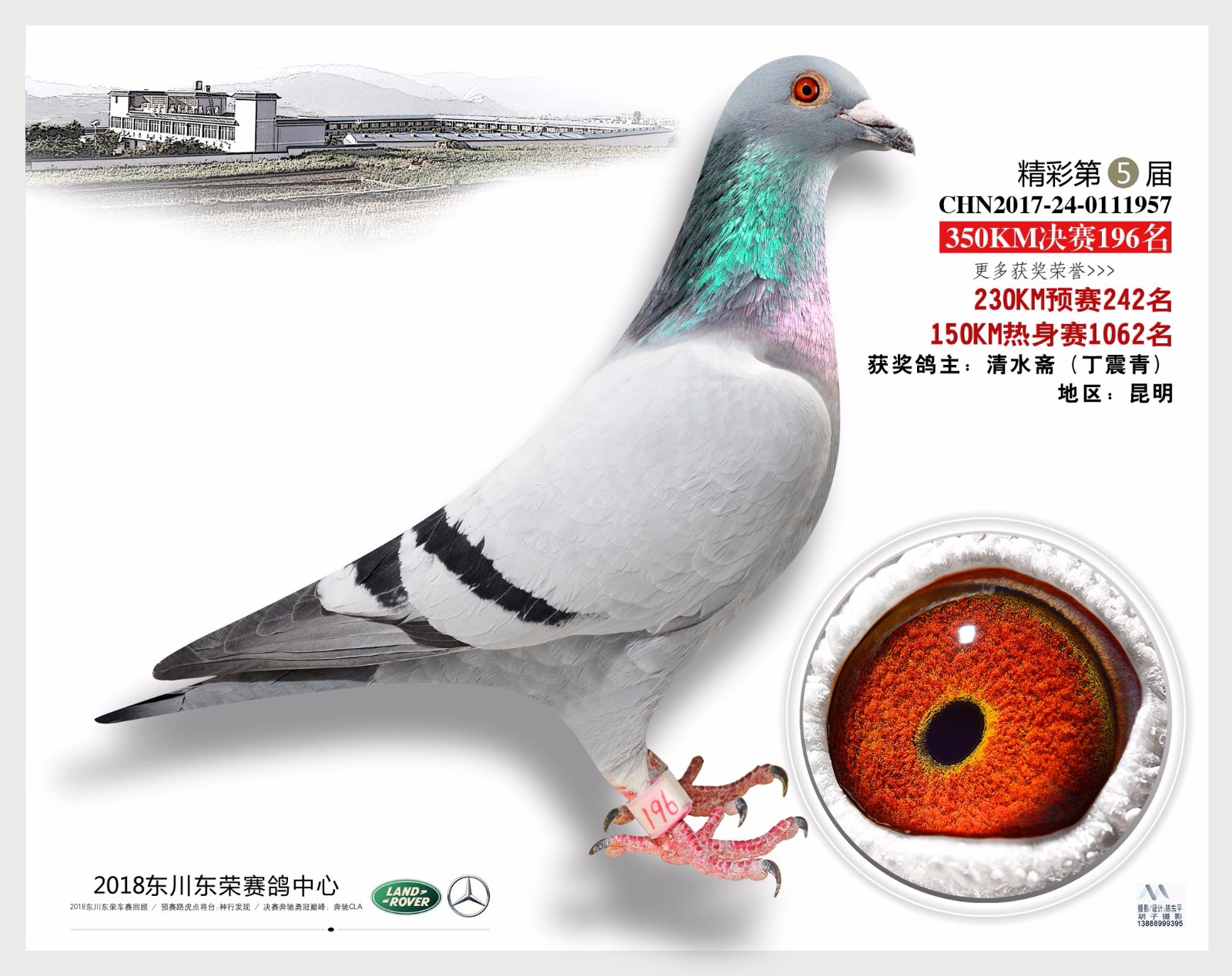 196+副本.jpg